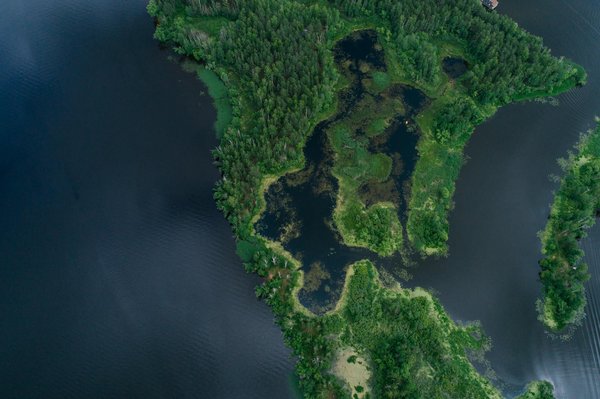 Découvertes Enfantines : Expositions Éducatives et Amusantes à Explorer